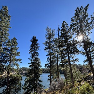 Team Page: Let's Go Outside Today!